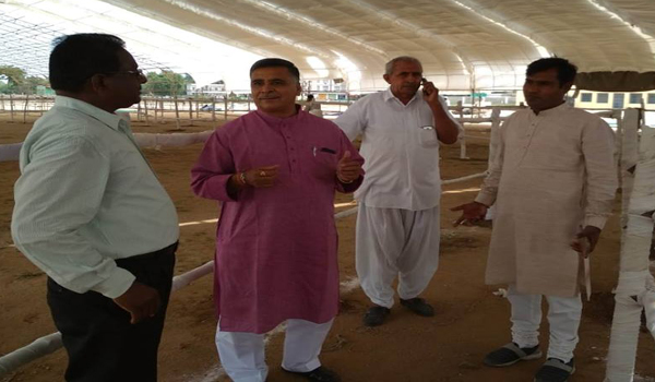 सिरोही में मुख्यमंत्री की राजस्थान गौरव यात्रा की सभास्थल का निरीक्षण करते देवीशंकर भूतड़ा।