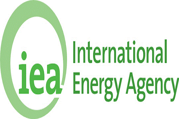 Government agrees with IAA on clean energy