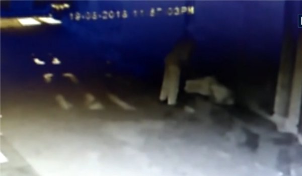 attempt to murder caught on CCTV camera from in Alwar