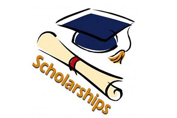 VAMS trainees Scholarship more than in hindi