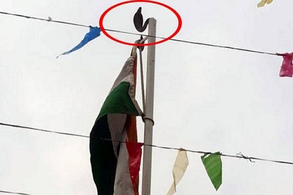 Snake from pipe after hoisting in school in hindi