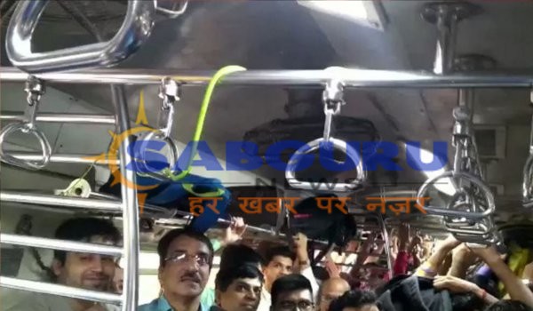 Snake in Mumbai local train, commuters panic