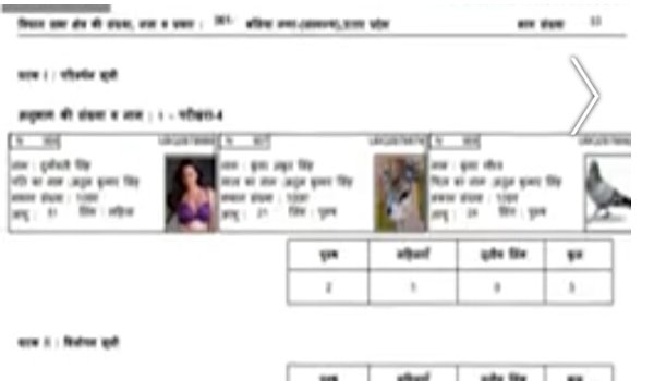 elephant, pigeon, Sunny Leone on balia voter's list in uttar pradesh