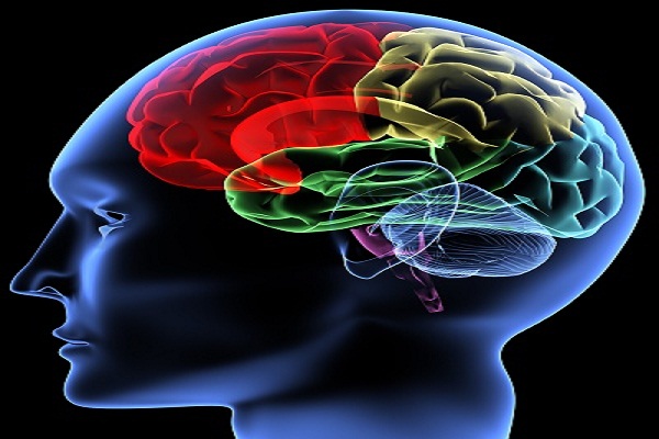 Doing such thing makes the brain very weak, brain tipsin hindi