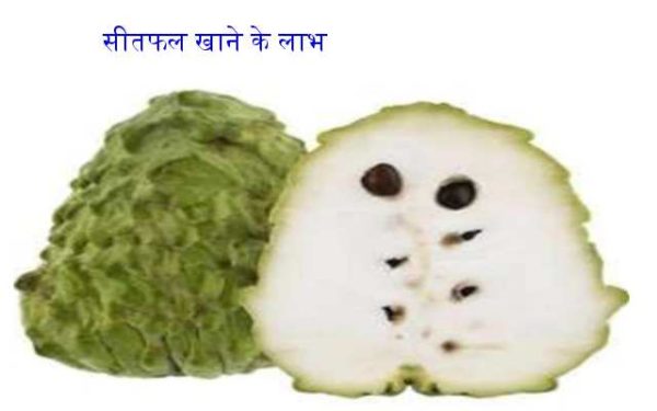 custard apple