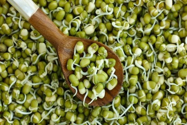 sproutes will keep every disease