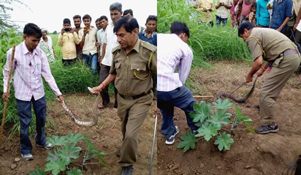 Pygmy rescued from sirohi village