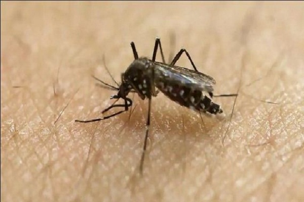 Kalicharan shraaf calls on Zika virus