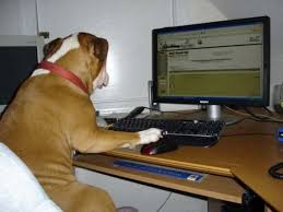 funny-computer