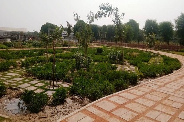 Botanical Gardens of Jaipur will display the Navagraha and 33 constellations