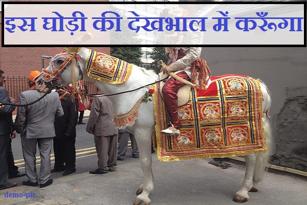 horse lover india ajmer