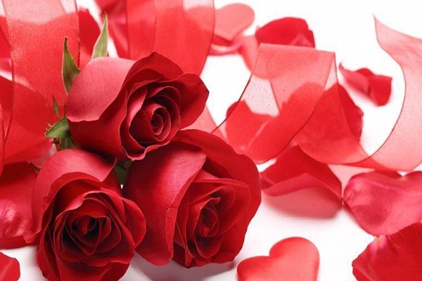 Happy rose day 2019 different colors roses its meaning