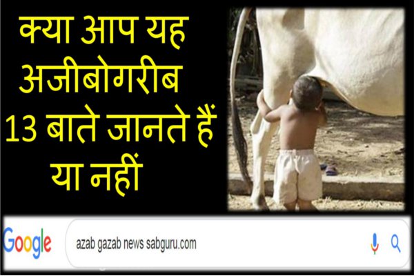 top 13 azab gazab news in hindi