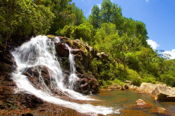 Black-River-Gorges-National-Park