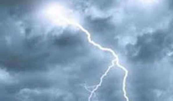 Uttar Pradesh Lucknow, the number of deaths due to falling power and snake bite increased 35