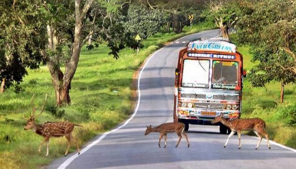 For the last 10 years, this National Highway closes at night