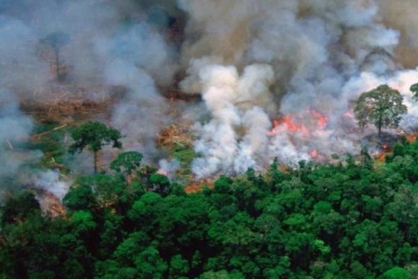 amazon jungle fire in brazile