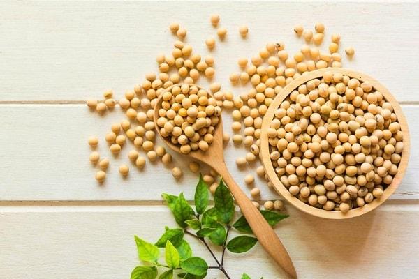 You will be shocked to know these benefits of soybean