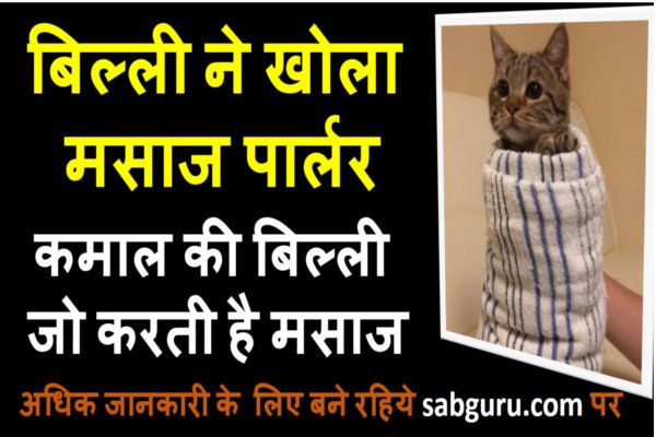 can started her massage parlor funny moment of cats