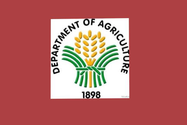 consultant department agriculture-cooperation-recruitment