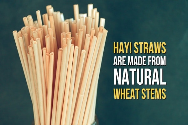 Natural straw made from wheat stem