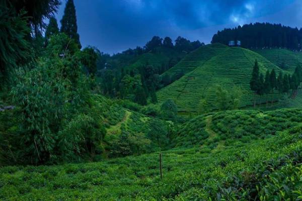 top-places-to-visit-in-northeast-india-on-world-tourism-day