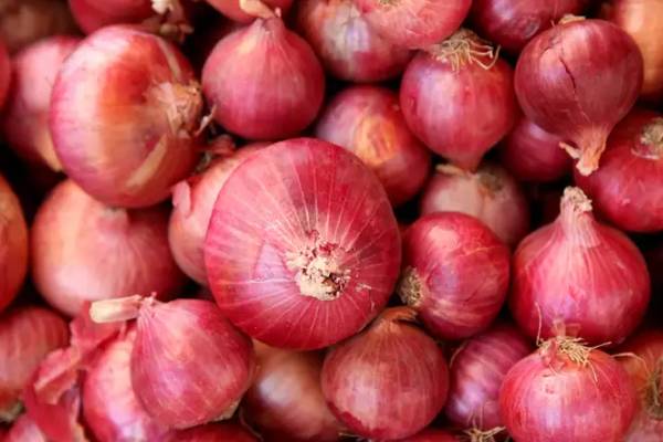 onion price rises-continuously-reached-60-rupees-per-kg-may-increase-further