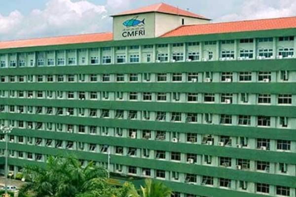 young professional cmfri recruitment