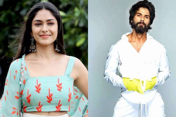 Mrinal Thakur is thrilled to work with Shahid Kapoor