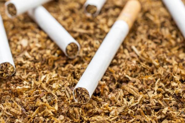 Tobacco control programs are among the best in the country