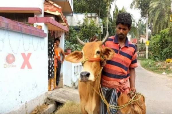 west-bengal-man-gold-loan-cows-bjp-mps-dilip-ghosh