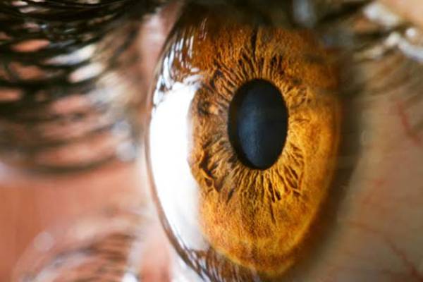 highest risk of glaucoma in diabetes