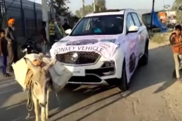 donkey pulled mg hector in udaipur rajasthan