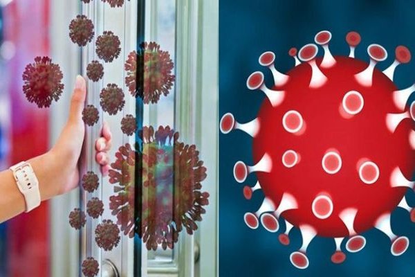 10020 deaths and 2,44,683 people infected with coronavirus in the world