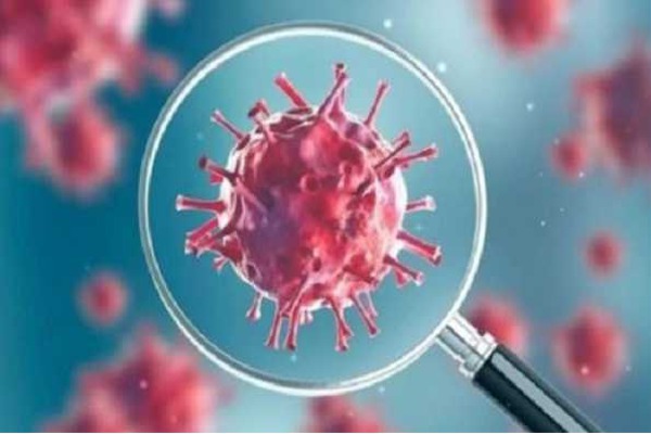 1016 corona infected and 31 deaths in Andhra Pradesh