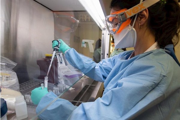 coronavirus update 81695 deaths due to covid 19 across world