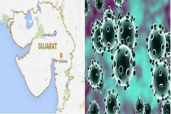 802 deaths and 13273 infected with corona in gujarat