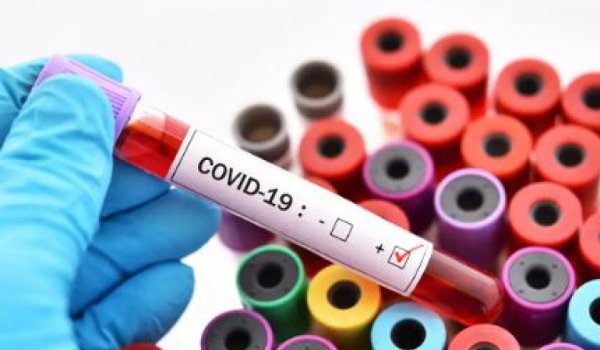 coronavirus update 40 fresh positive cases in rajasthan tally reaches 430