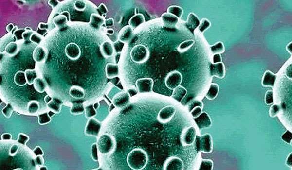 coronavirus update madhya pradesh recorded 229 fresh covid 19 positive cases total number rises to 5465