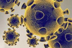 Two new corona infected found in Ajmer district