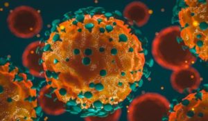 5.24 deaths and 1.10 crore infected with corona in world