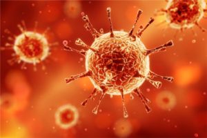 coronavirus update gujarat recorded 919 fresh covid 19 positive cases total number rises to 44652