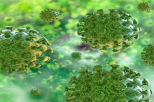 coronavirus update haryana recorded 797 fresh covid 19 positive cases total number rises to 44024