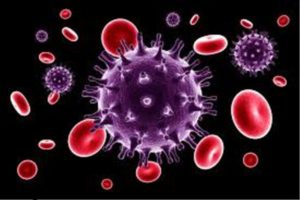 coronavirus update haryana recorded 794 fresh covid 19 positive cases total number rises to 42429