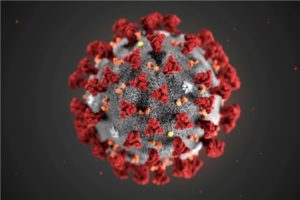 7.37 lakh deaths and 20.16 million infected with corona in world
