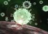 coronavirus update indore recorded 272 fresh covid-19 positive cases