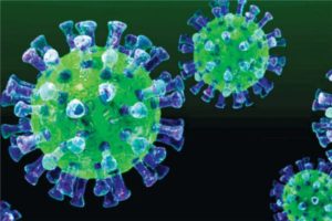 coronavirus update ajmer recorded 60 fresh covid 19 positive cases total number rises to 2688
