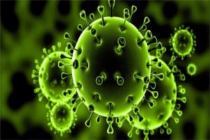 coronavirus update madhya pradesh recorded 1317 fresh covid 19 positive cases total number rises to 58181