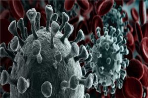 coronavirus update haryana recorded 793 fresh covid 19 positive cases total number rises to 35758