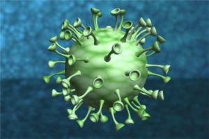 coronavirus update bhopal recorded 229 fresh covid-19 positive cases